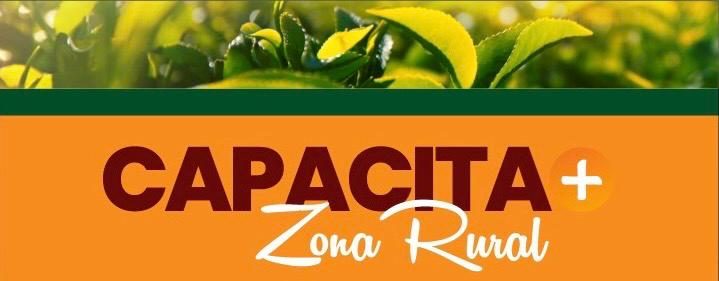 Arte do Capacita+ Zona Rural